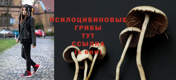 прущий лед Кулебаки