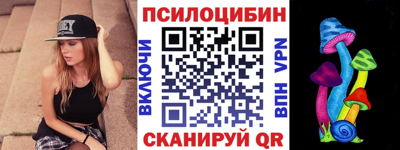 Купить где  Новоузенск  Галлюциногенные грибы Psilocybe 